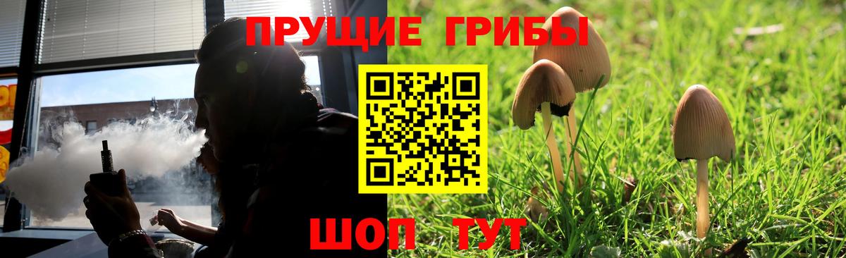 Галлюциногенные грибы ЛСД Ноябрьск